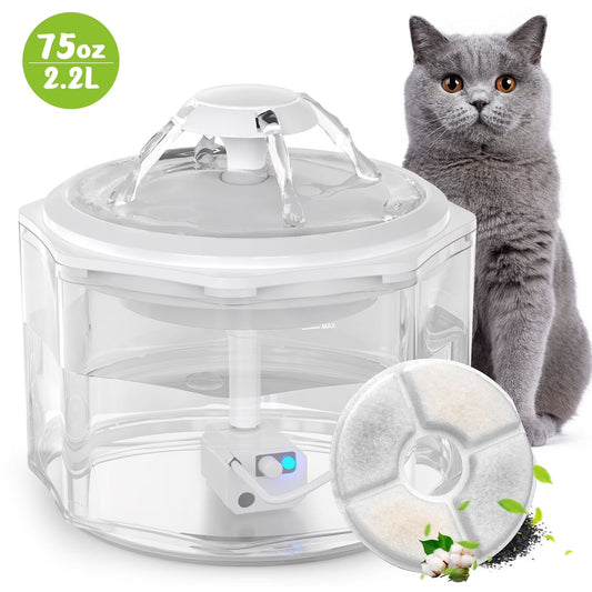 Cat Fountain & Play Kit bundle