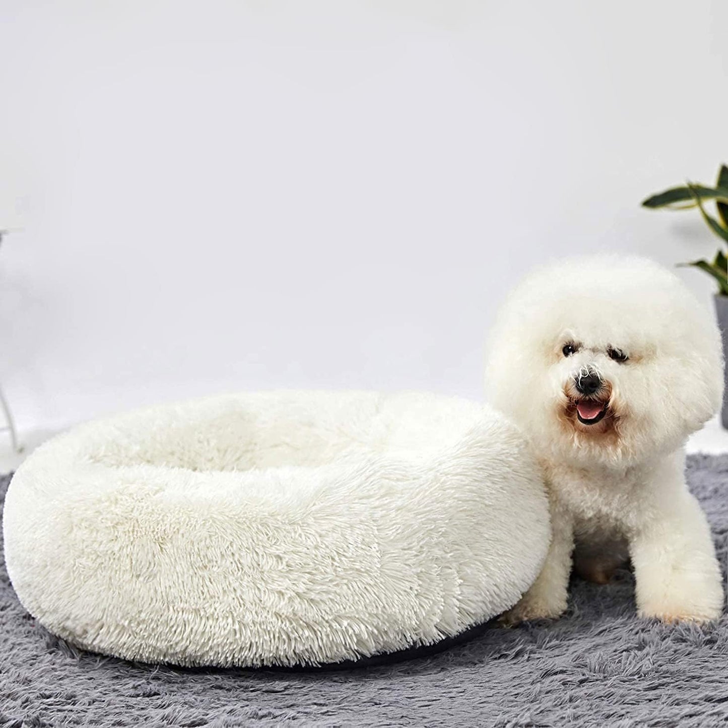 Calming Donut Cuddler Dog Bed, round Fluffy Pet Bed for Small Dogs,Washable, Large, White, 24''