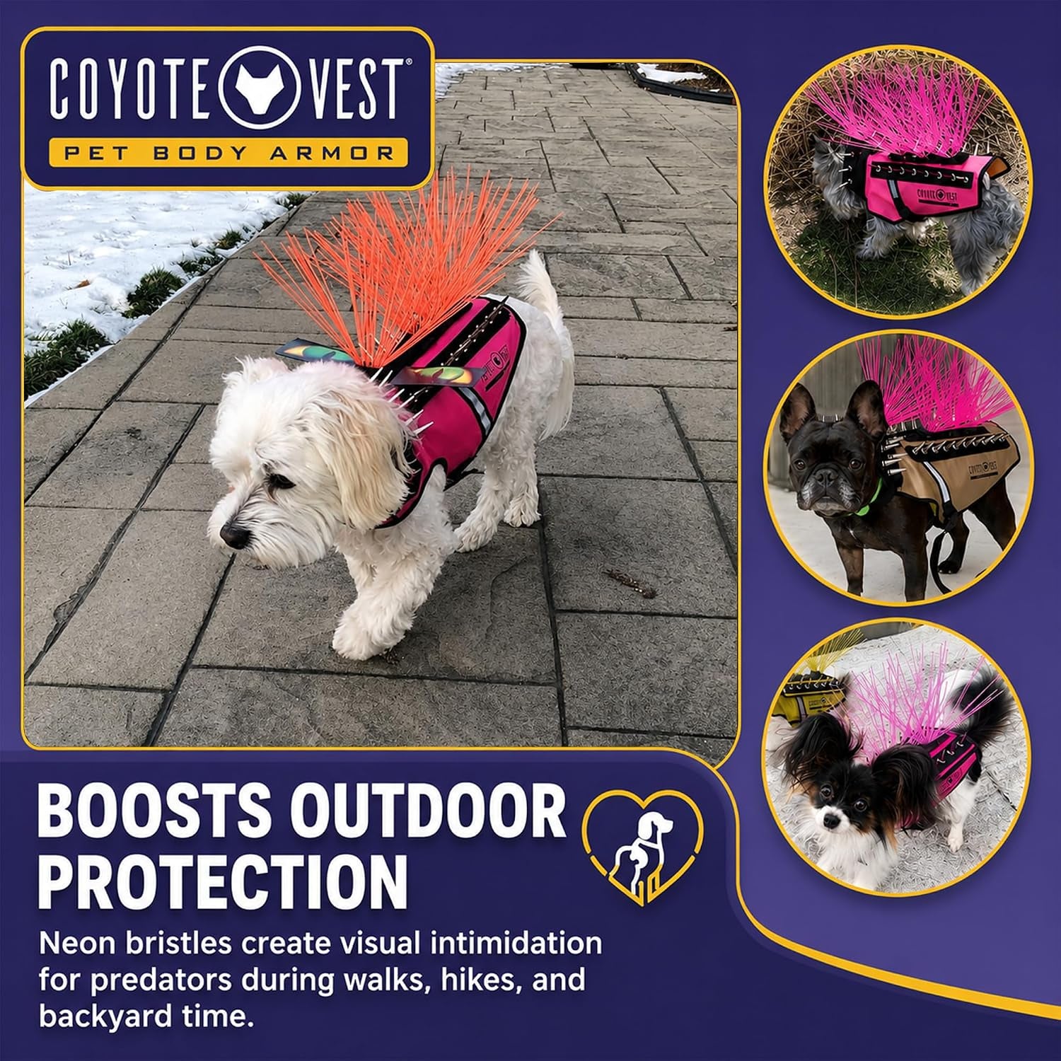 Coyotewhiskers | Protective Nylon Bristles for  or Spikevest Dog Harness | Defends against Coyotes, Dogs, Birds of Prey | Dog Accessories, Made in USA (Fluorescent Orange)