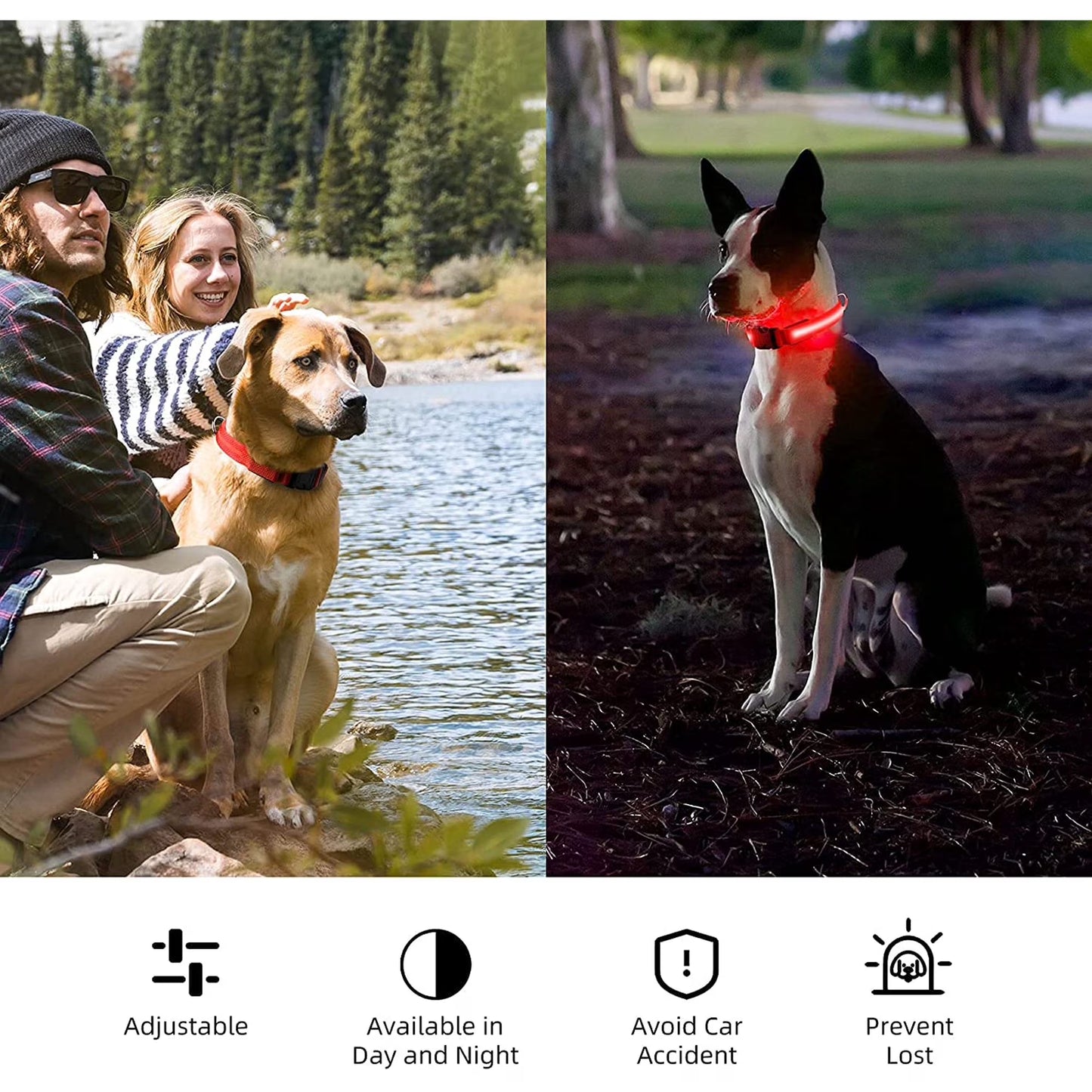 LED Dog Collar USB Rechargeable Waterproof Adjustable Light up Dog Collar Super Bright Safety Light Glowing Collars