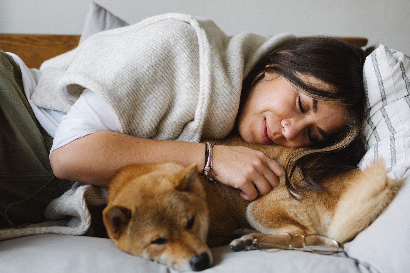 Calm dog resting cozily at home